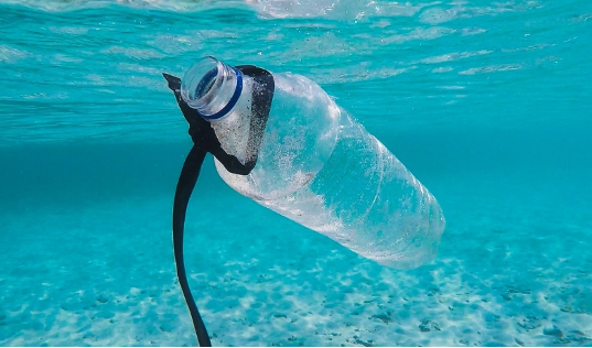Βιοδιασπώμενα Πλαστικά: Καινοτομία ή Μύθος ;