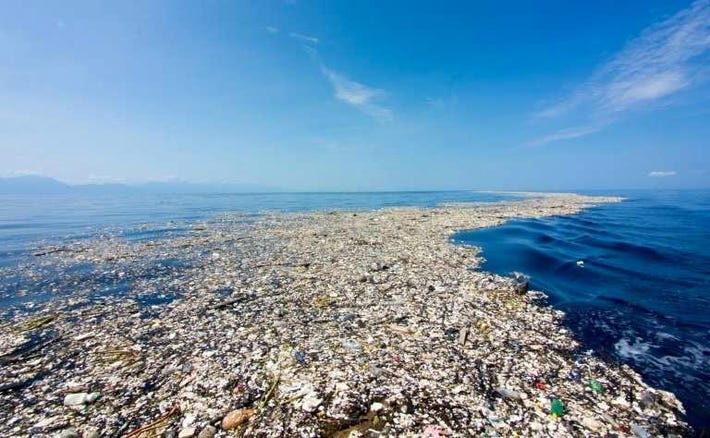 Μολυσμένοι ωκεανοί | Ποια προβλήματα δημιουργούν;